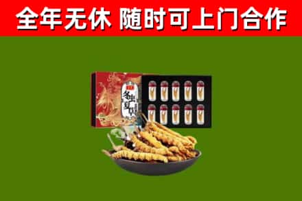 嘉定区烟酒回收冬虫夏草礼盒.jpg